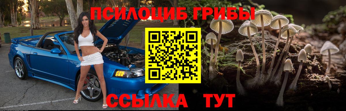 Галлюциногенные грибы мицелий  Псилоцибиновые грибы MAGIC MUSHROOMS  Вход с VPN  купить наркотики сайты  Всеволожск 